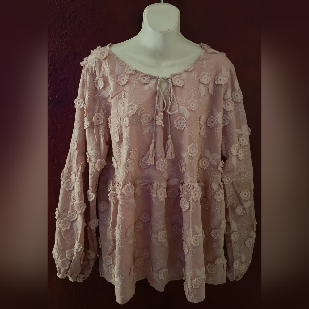 POL Embroidered Balloon Sleeve Blouse in Rose size M